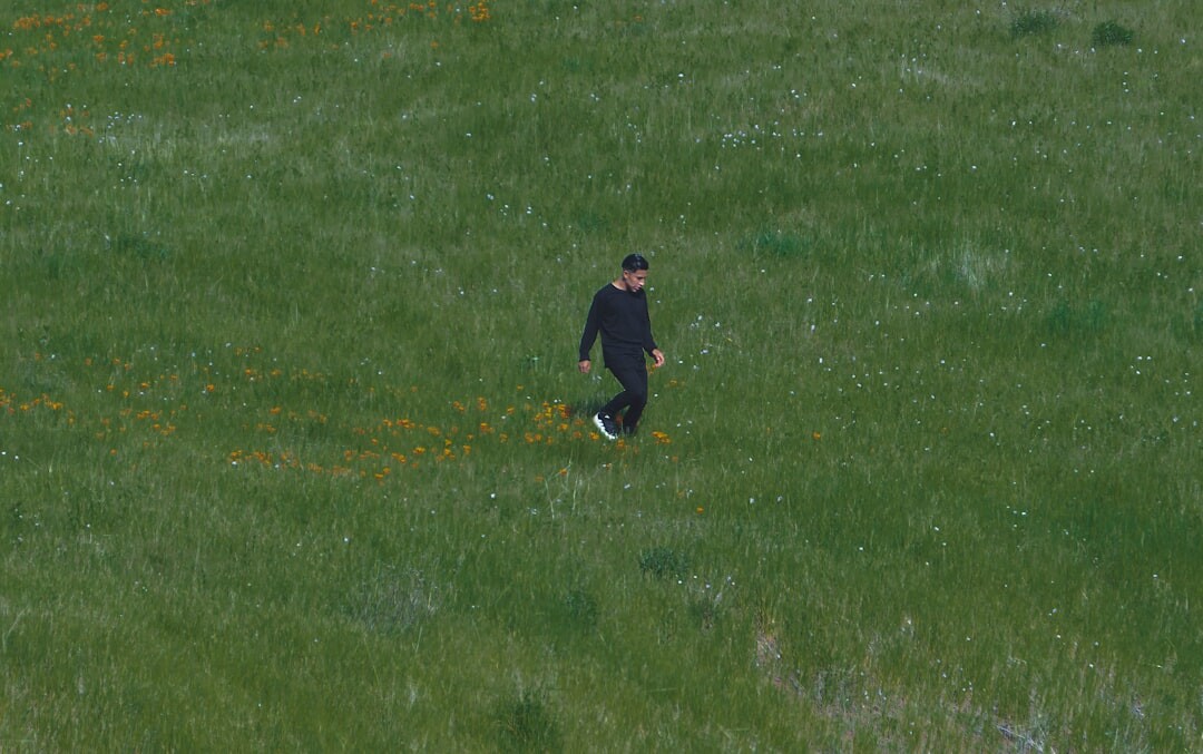 prince harry and meghan markle walking